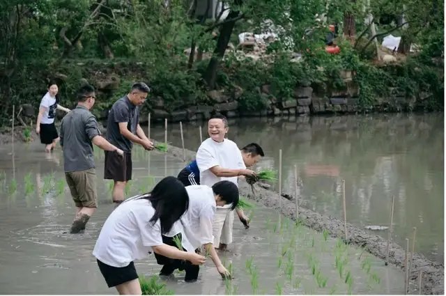 弯腰插秧的马云，在给阿里什么信号